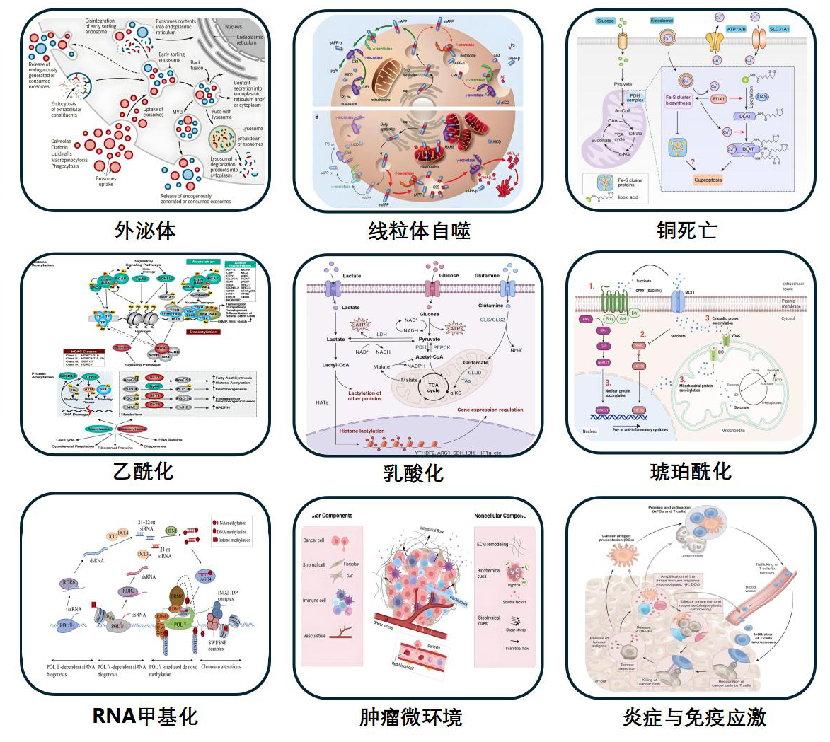 案例方案分享_01.jpg