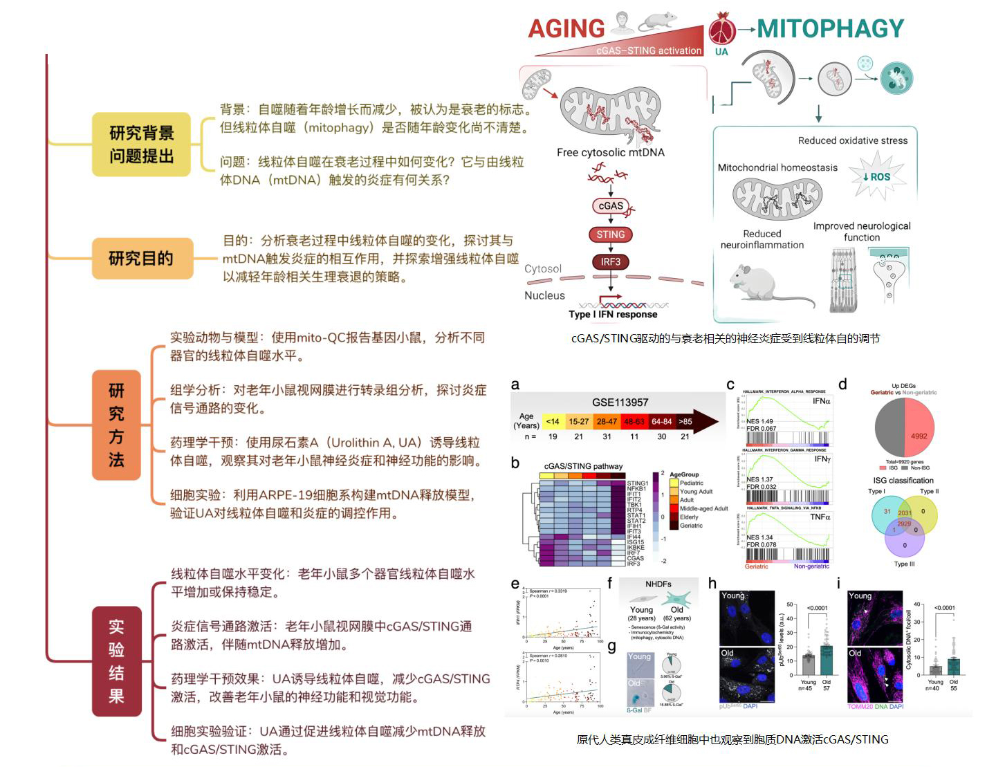案例方案分享_05.jpg
