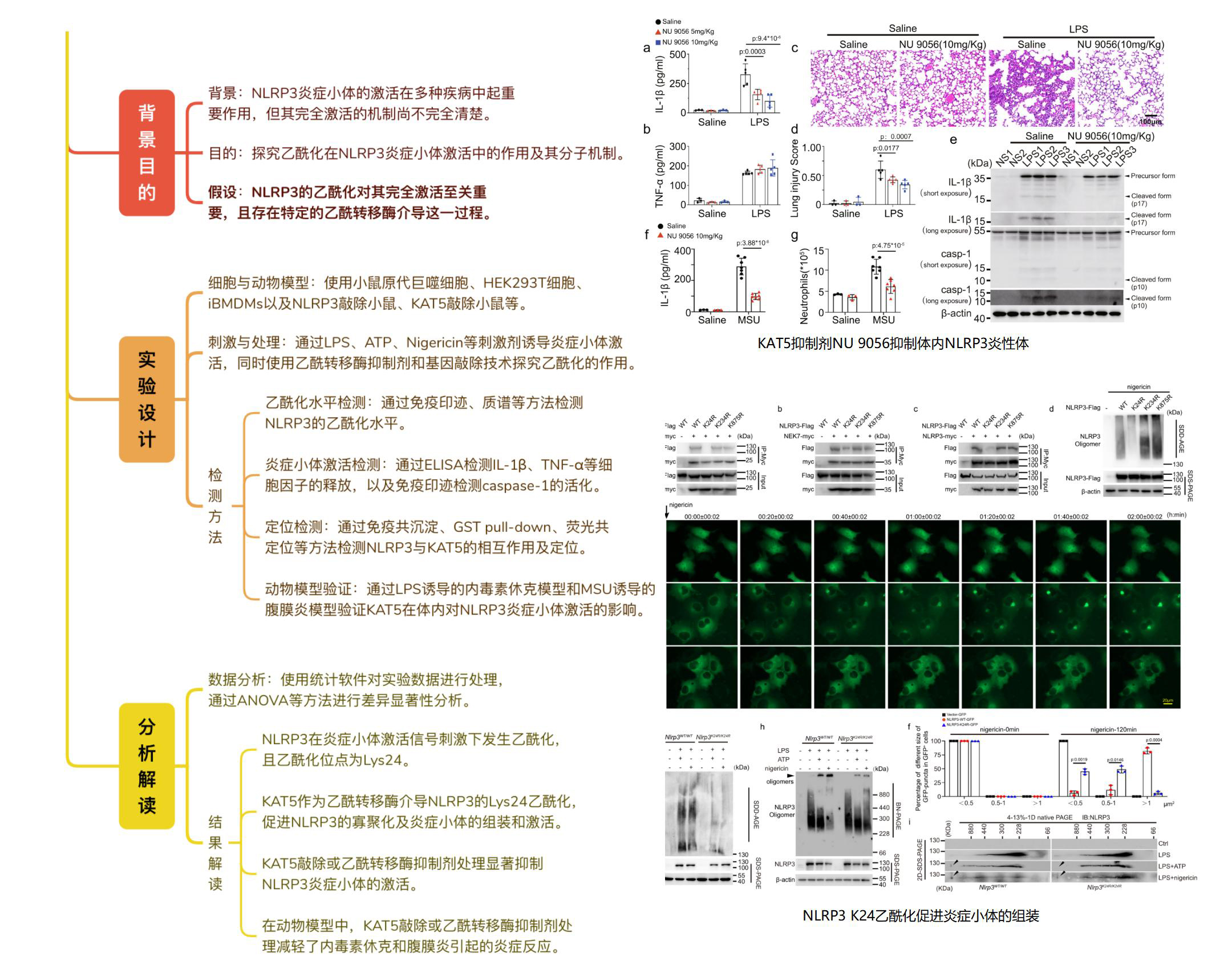 案例方案分享_13.jpg