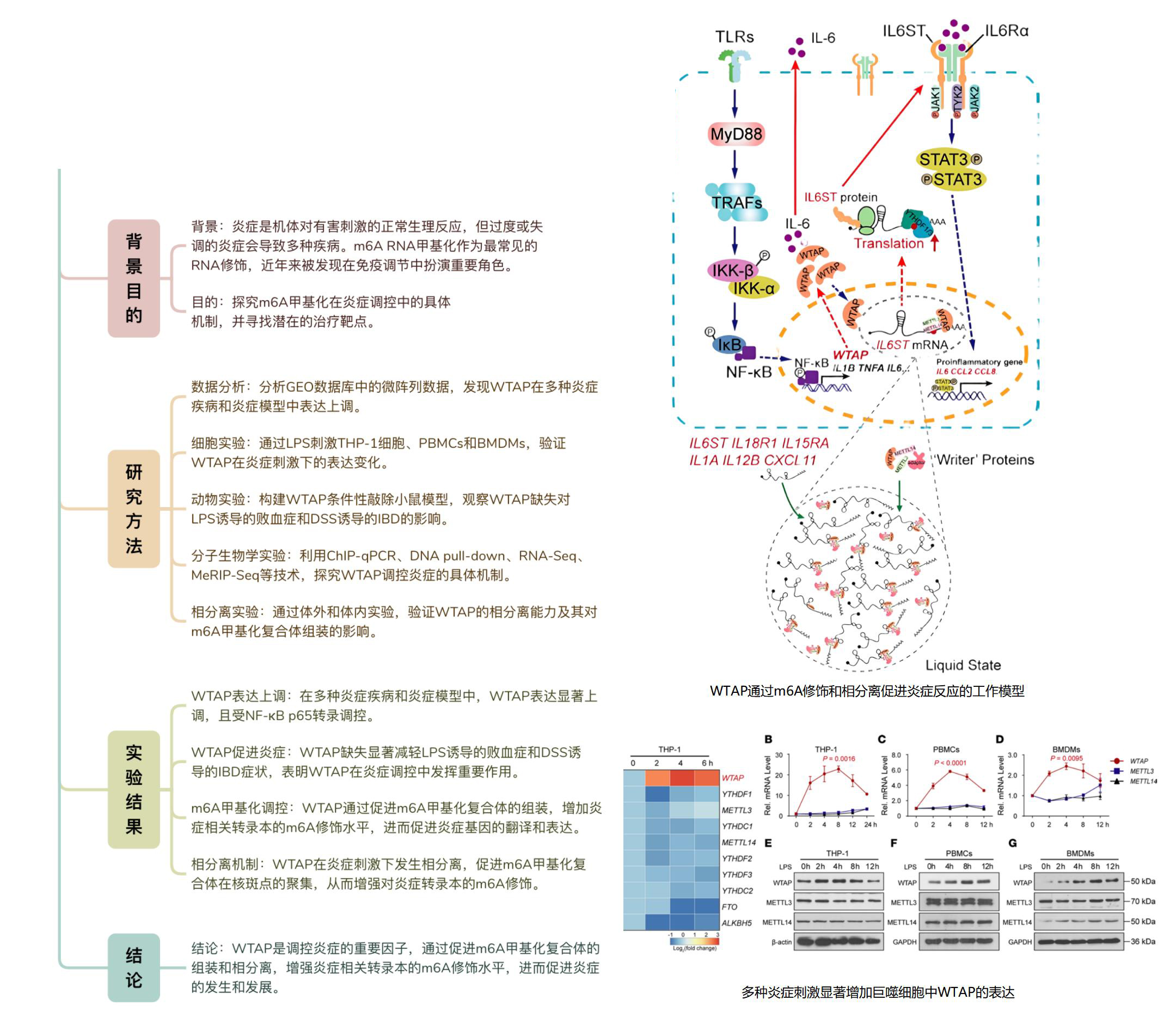 案例方案分享_11.jpg