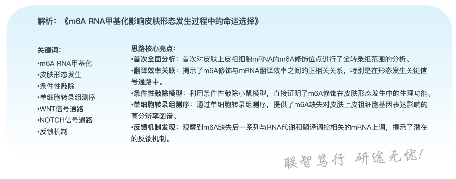 -皮肤科-.png