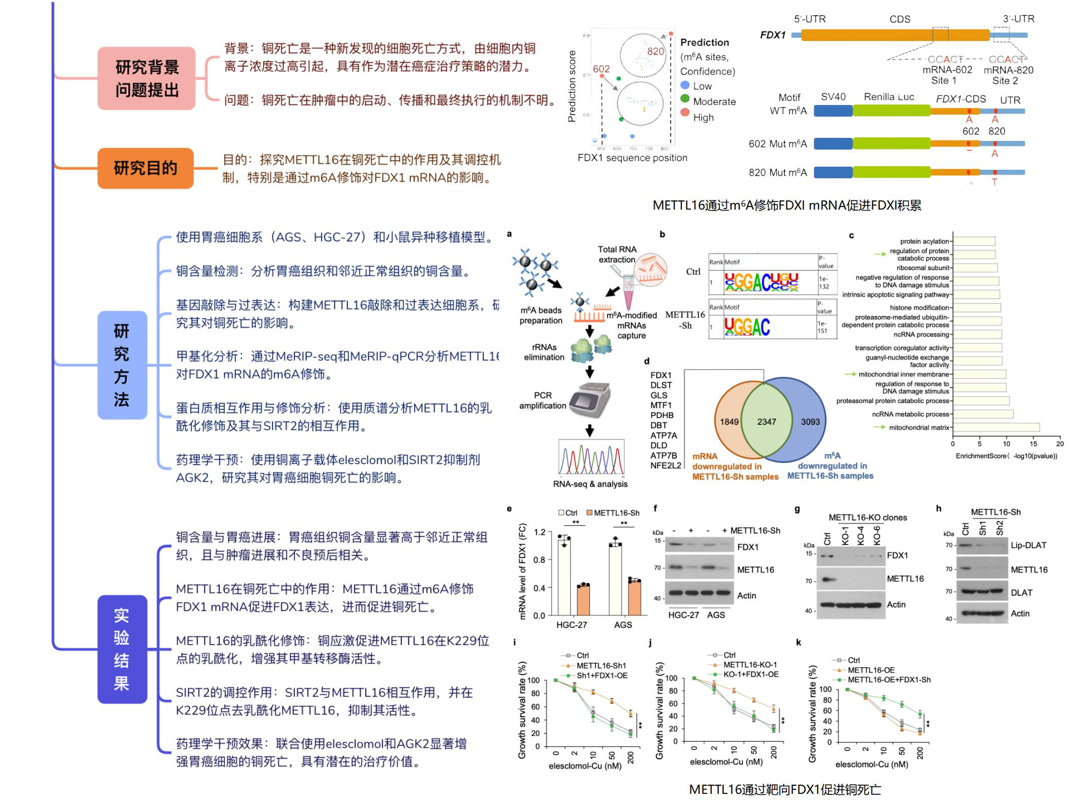 案例方案分享_06.jpg